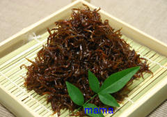 いかなごの季節がやってきましたね～