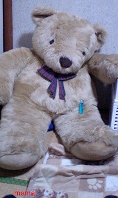 どうやって出したら(干したら)いいのでしょう?