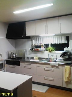 【便乗】お宅のキッチンorキッチン収納見せて下さい