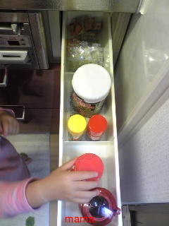 【便乗】お宅のキッチンorキッチン収納見せて下さい