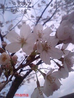 【今イライラしてる人】休憩室【おいで】
