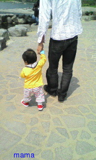 しげルーム(ﾟзﾟ)