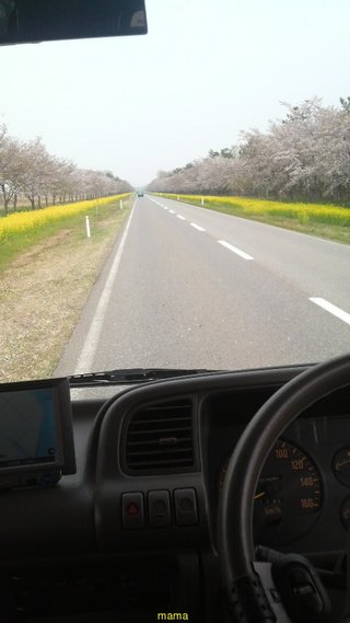 【ﾄﾞｸ部屋&#x{11:F991};】(*´艸`*)