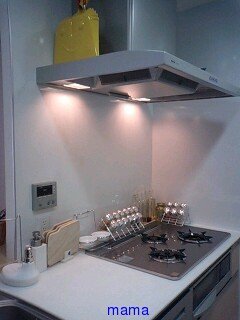 【便乗】お宅のキッチンorキッチン収納見せて下さい