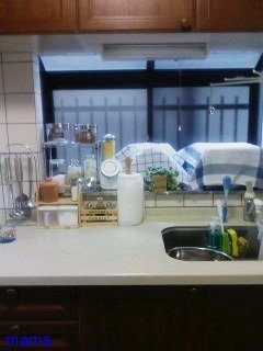 【便乗】お宅のキッチンorキッチン収納見せて下さい