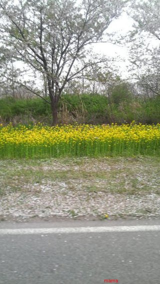 【ﾄﾞｸ部屋&#x{11:F991};】(*´艸`*)