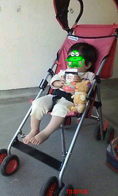 しげルーム(ﾟзﾟ)