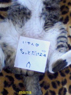 みんな字見せて