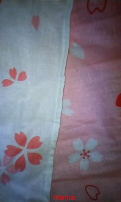 ♪ナチュラリスト♪