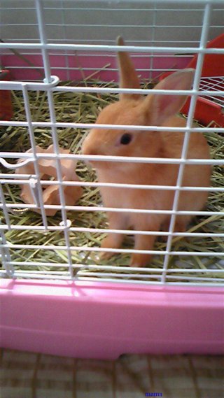 過食症克服してﾀﾞｲｴｯﾄ&#x{11:F9D2};&#x{11:F8F4};