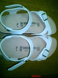 ♪ナチュラリスト♪