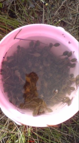 【ﾄﾞｸ部屋&#x{11:F991};】(*´艸`*)