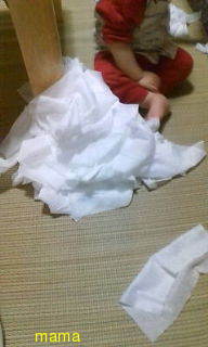 しげルーム(ﾟзﾟ)