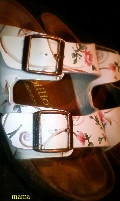 ♪ナチュラリスト♪