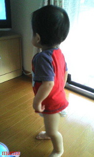 しげルーム(ﾟзﾟ)