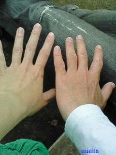 【見たい】旦那さんの手【見せて】