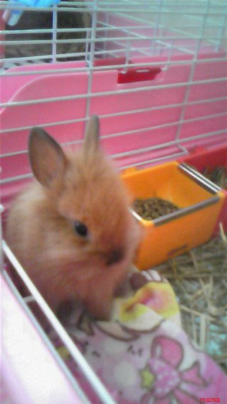 過食症克服してﾀﾞｲｴｯﾄ&#x{11:F9D2};&#x{11:F8F4};