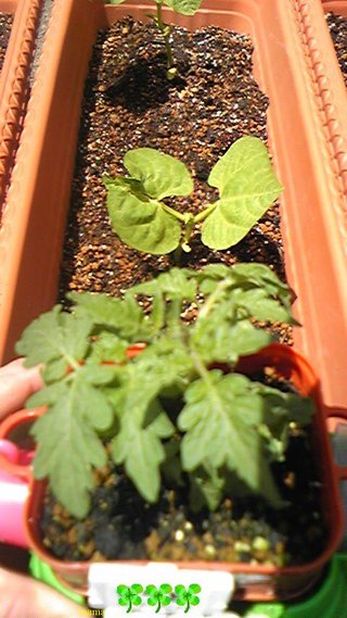 過食症克服してﾀﾞｲｴｯﾄ&#x{11:F9D2};&#x{11:F8F4};