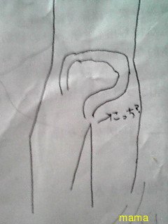 体のしくみ(構造)の本持ってる人！
