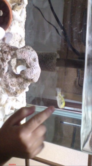 【ﾄﾞｸ部屋&#x{11:F991};】(*´艸`*)