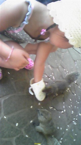 過食症克服してﾀﾞｲｴｯﾄ&#x{11:F9D2};&#x{11:F8F4};