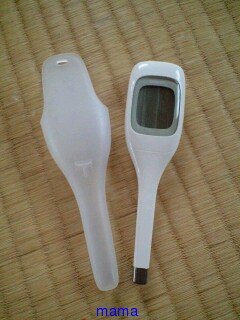 このタイプの体温計 （写あり）