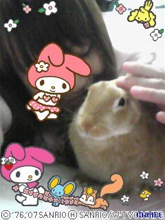 過食症克服してﾀﾞｲｴｯﾄ&#x{11:F9D2};&#x{11:F8F4};