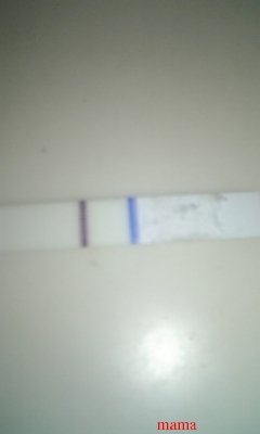 誰か教えて下さい！