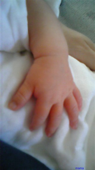 【今イライラしてる人】休憩室【おいで】