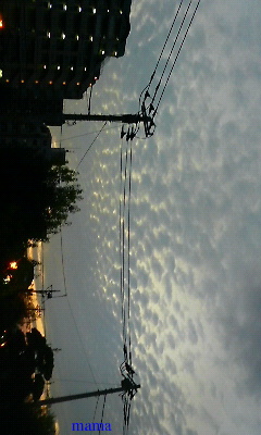 この雲、うろこ雲っていうんでしょうか？