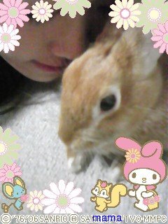 過食症克服してﾀﾞｲｴｯﾄ&#x{11:F9D2};&#x{11:F8F4};