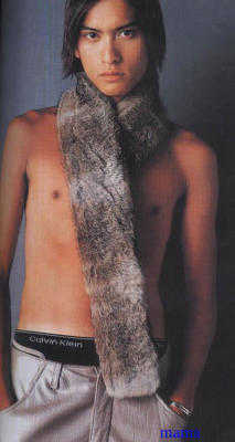 男性タレントのヌードが見たい！