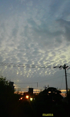 この雲、うろこ雲っていうんでしょうか？