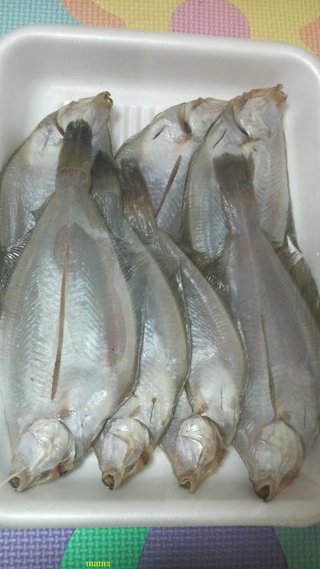 これなんの魚か教えてください