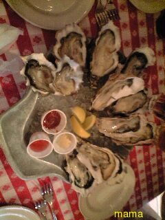 TV番組みたいにとれたての生牡蠣を海水味で食べてみたい