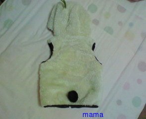 F.O KIDS ｴﾌｵｰｷｯｽﾞ
BIT'S ﾋﾞｯﾂ【総合】