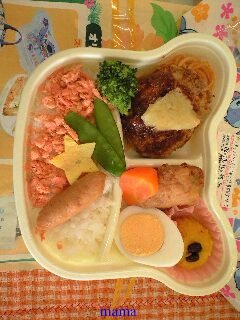 ｾﾌﾞﾝｲﾚﾌﾞﾝのｽﾃｨｯﾁべんとう