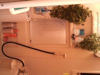 【狭】【汚】写ﾍﾟﾀ求む【古】【賃貸】