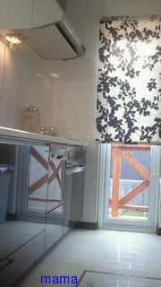 【便乗】お宅のキッチンorキッチン収納見せて下さい