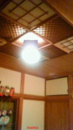 【狭】【汚】写ﾍﾟﾀ求む【古】【賃貸】