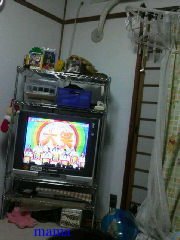 【狭】【汚】写ﾍﾟﾀ求む【古】【賃貸】