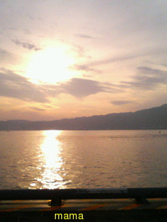 【ｼﾝﾏﾏの】ﾁﾗｼ裏【独り言】