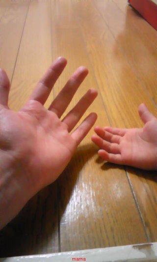 ゆっくりとオーラを見ます(^-^)