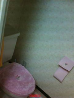 【狭】【汚】写ﾍﾟﾀ求む【古】【賃貸】