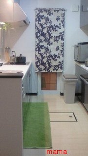 【便乗】お宅のキッチンorキッチン収納見せて下さい