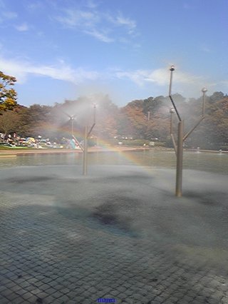 【ｼﾝﾏﾏの】ﾁﾗｼ裏【独り言】