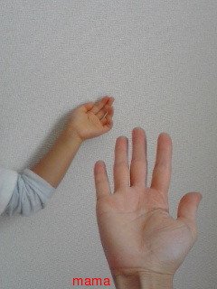 ゆっくりとオーラを見ます(^-^)