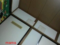 【狭】【汚】写ﾍﾟﾀ求む【古】【賃貸】