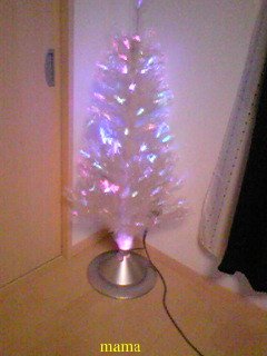 クリスマスツリーの【写】見せて♪