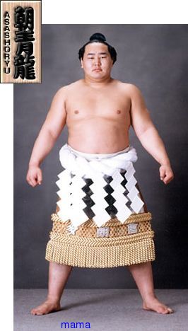 朝青龍に一言言いたい